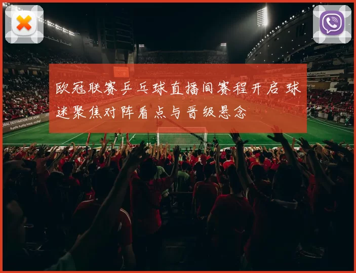 欧冠联赛乒乓球直播间赛程开启 球迷聚焦对阵看点与晋级悬念